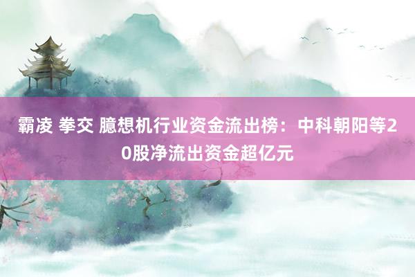 霸凌 拳交 臆想机行业资金流出榜：中科朝阳等20股净流出资金超亿元