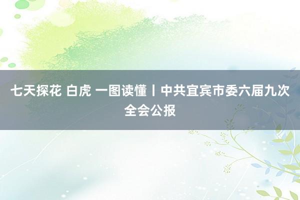 七天探花 白虎 一图读懂丨中共宜宾市委六届九次全会公报