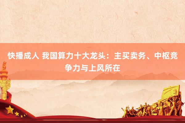 快播成人 我国算力十大龙头：主买卖务、中枢竞争力与上风所在