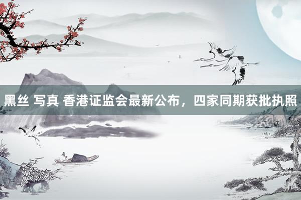 黑丝 写真 香港证监会最新公布，四家同期获批执照