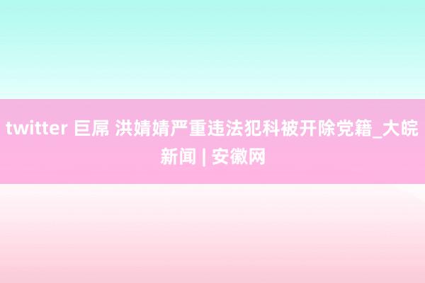 twitter 巨屌 洪婧婧严重违法犯科被开除党籍_大皖新闻 | 安徽网
