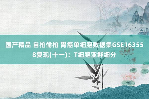国产精品 自拍偷拍 胃癌单细胞数据集GSE163558复现(十一)：T细胞亚群细分
