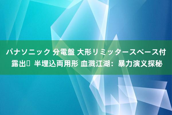 パナソニック 分電盤 大形リミッタースペース付 露出・半埋込両用形 血溅江湖：暴力演义探秘