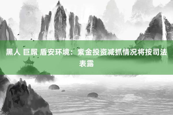 黑人 巨屌 盾安环境：紫金投资减抓情况将按司法表露