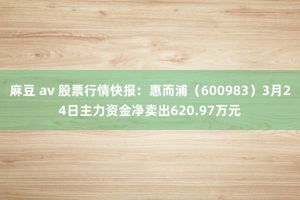 麻豆 av 股票行情快报：惠而浦（600983）3月24日主力资金净卖出620.97万元