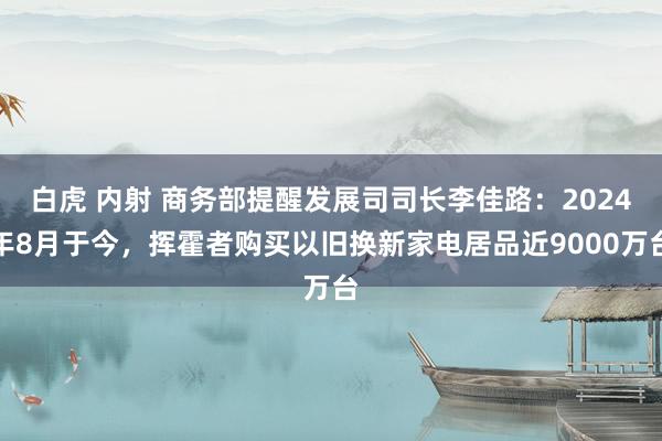 白虎 内射 商务部提醒发展司司长李佳路：2024年8月于今，挥霍者购买以旧换新家电居品近9000万台