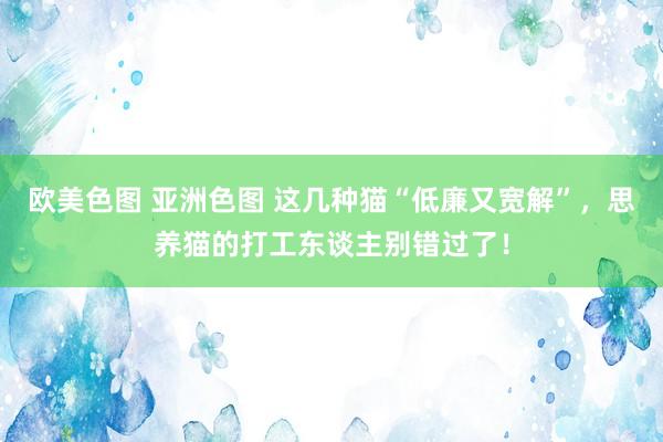 欧美色图 亚洲色图 这几种猫“低廉又宽解”，思养猫的打工东谈主别错过了！