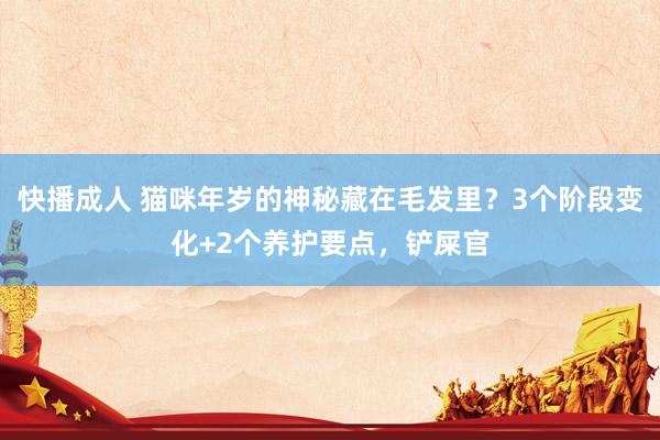 快播成人 猫咪年岁的神秘藏在毛发里？3个阶段变化+2个养护要点，铲屎官
