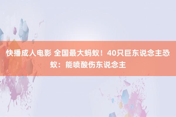 快播成人电影 全国最大蚂蚁！40只巨东说念主恐蚁：能喷酸伤东说念主