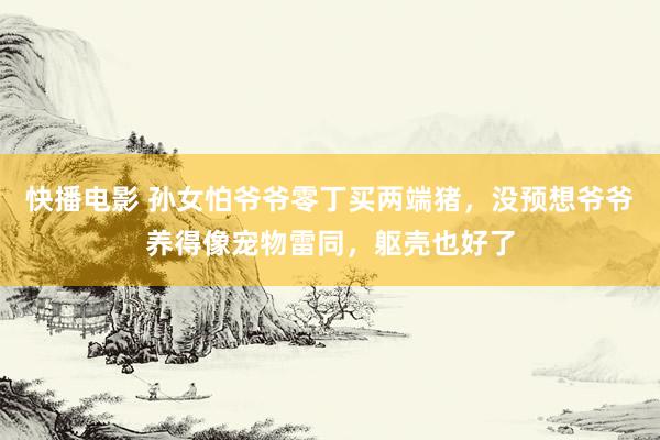 快播电影 孙女怕爷爷零丁买两端猪，没预想爷爷养得像宠物雷同，躯壳也好了