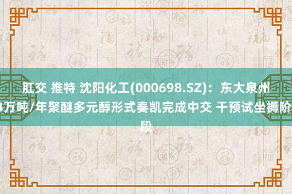 肛交 推特 沈阳化工(000698.SZ)：东大泉州24万吨/年聚醚多元醇形式奏凯完成中交 干预试坐褥阶段
