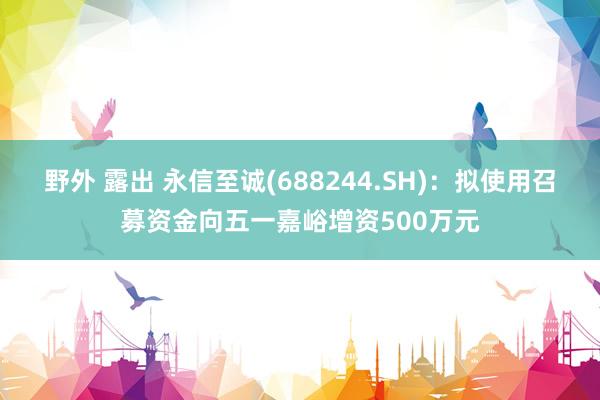 野外 露出 永信至诚(688244.SH)：拟使用召募资金向五一嘉峪增资500万元