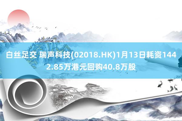 白丝足交 瑞声科技(02018.HK)1月13日耗资1442.85万港元回购40.8万股