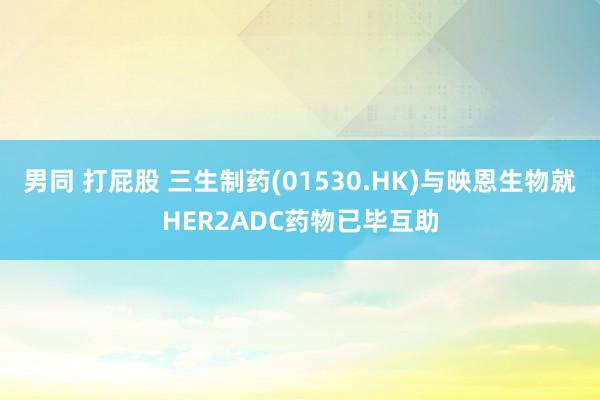男同 打屁股 三生制药(01530.HK)与映恩生物就HER2ADC药物已毕互助