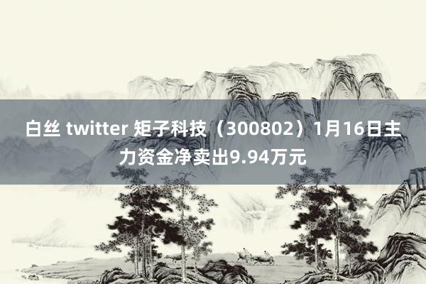 白丝 twitter 矩子科技（300802）1月16日主力资金净卖出9.94万元