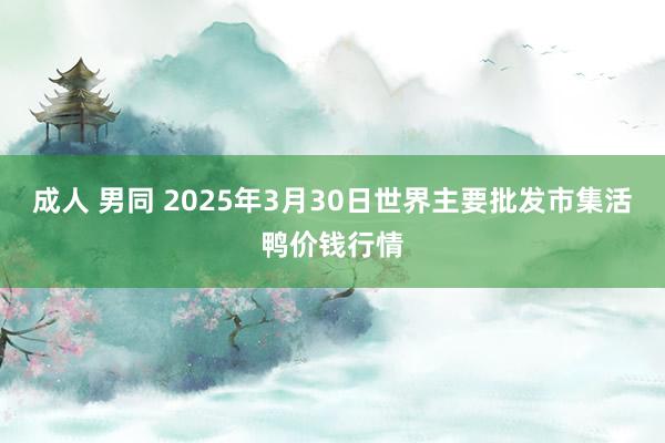 成人 男同 2025年3月30日世界主要批发市集活鸭价钱行情