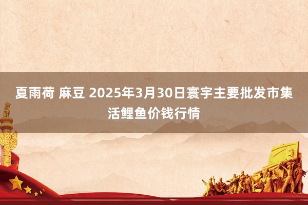 夏雨荷 麻豆 2025年3月30日寰宇主要批发市集活鲤鱼价钱行情