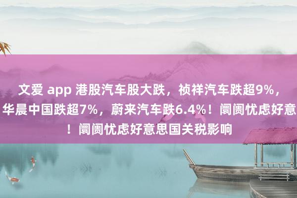 文爱 app 港股汽车股大跌，祯祥汽车跌超9%，比亚迪股份、华晨中国跌超7%，蔚来汽车跌6.4%！阛阓忧虑好意思国关税影响