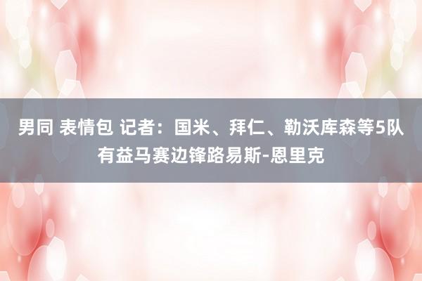 男同 表情包 记者：国米、拜仁、勒沃库森等5队有益马赛边锋路易斯-恩里克