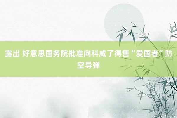露出 好意思国务院批准向科威了得售“爱国者”防空导弹