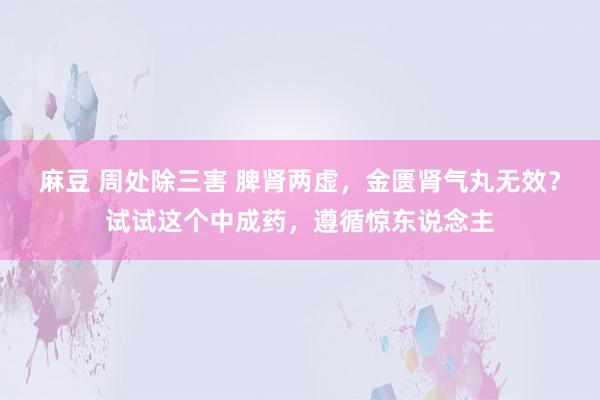麻豆 周处除三害 脾肾两虚，金匮肾气丸无效？试试这个中成药，遵循惊东说念主