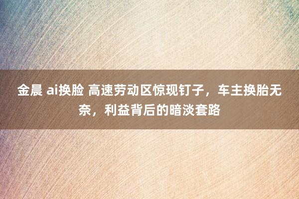 金晨 ai换脸 高速劳动区惊现钉子，车主换胎无奈，利益背后的暗淡套路