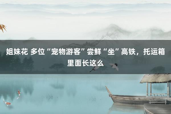 姐妹花 多位“宠物游客”尝鲜“坐”高铁，托运箱里面长这么