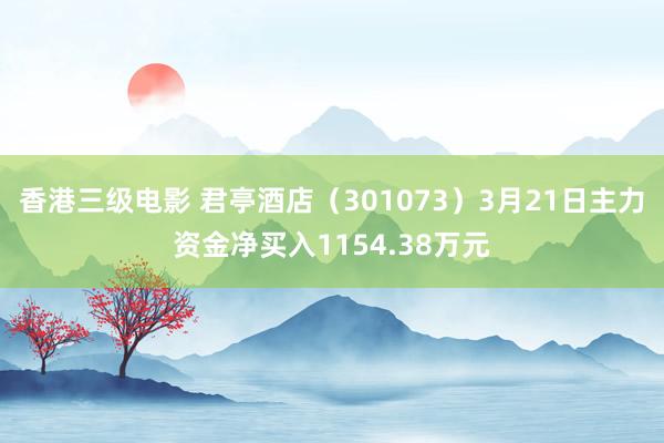 香港三级电影 君亭酒店（301073）3月21日主力资金净买入1154.38万元