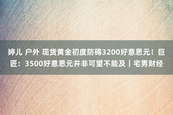 婷儿 户外 现货黄金初度防碍3200好意思元！巨匠：3500好意思元并非可望不能及｜宅男财经