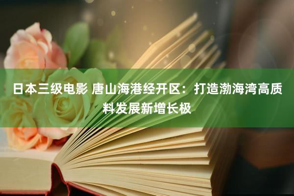 日本三级电影 唐山海港经开区：打造渤海湾高质料发展新增长极
