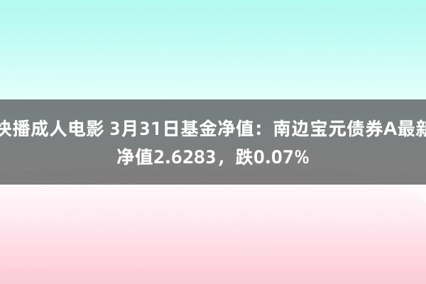 快播成人电影 3月31日基金净值：南边宝元债券A最新净值2.6283，跌0.07%
