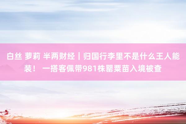 白丝 萝莉 半两财经｜归国行李里不是什么王人能装！ 一搭客佩带981株罂粟苗入境被查