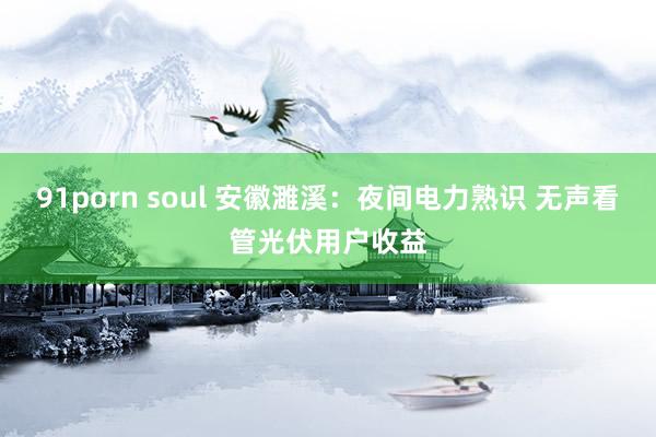 91porn soul 安徽濉溪：夜间电力熟识 无声看管光伏用户收益