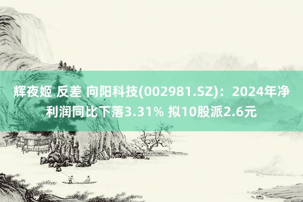 辉夜姬 反差 向阳科技(002981.SZ)：2024年净利润同比下落3.31% 拟10股派2.6元