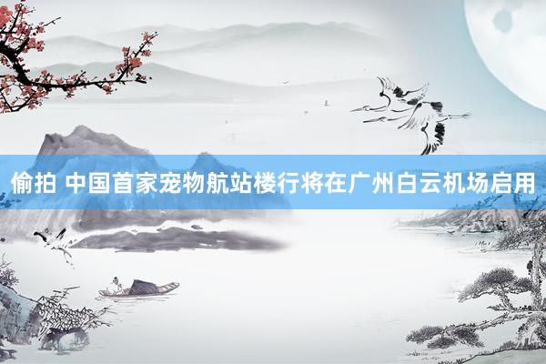 偷拍 中国首家宠物航站楼行将在广州白云机场启用