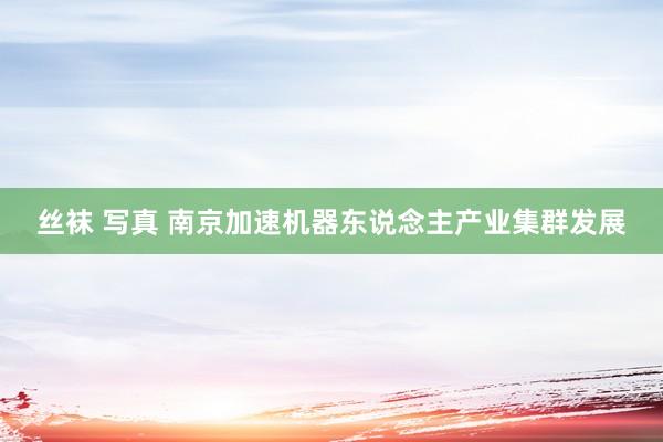 丝袜 写真 南京加速机器东说念主产业集群发展