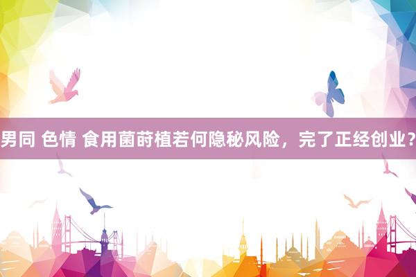 男同 色情 食用菌莳植若何隐秘风险，完了正经创业？