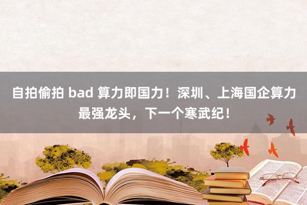自拍偷拍 bad 算力即国力！深圳、上海国企算力最强龙头，下一个寒武纪！