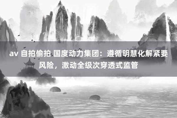 av 自拍偷拍 国度动力集团：遵循明慧化解紧要风险，激动全级次穿透式监管