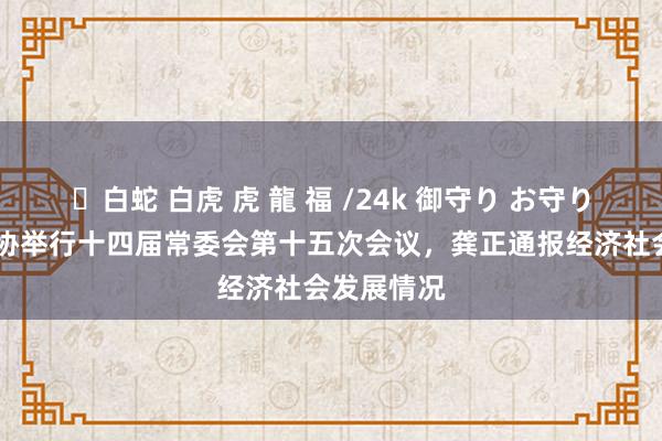 ✨白蛇 白虎 虎 龍 福 /24k 御守り お守り 上海市政协举行十四届常委会第十五次会议，龚正通报经济社会发展情况