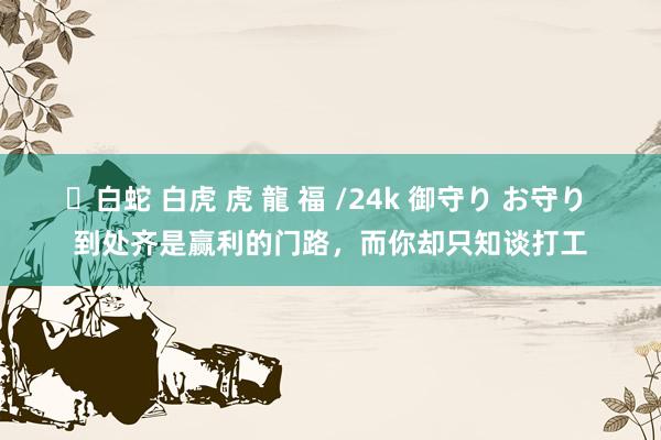✨白蛇 白虎 虎 龍 福 /24k 御守り お守り 到处齐是赢利的门路，而你却只知谈打工