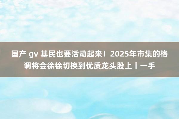 国产 gv 基民也要活动起来！2025年市集的格调将会徐徐切换到优质龙头股上丨一手