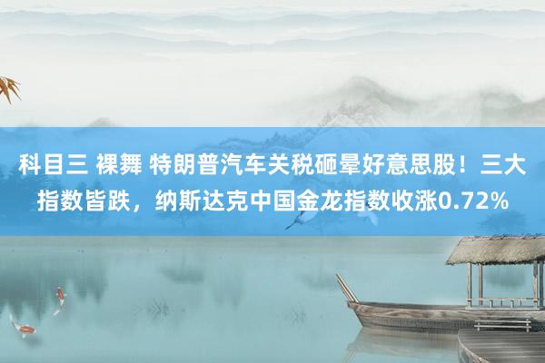 科目三 裸舞 特朗普汽车关税砸晕好意思股！三大指数皆跌，纳斯达克中国金龙指数收涨0.72%