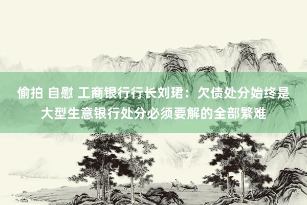 偷拍 自慰 工商银行行长刘珺：欠债处分始终是大型生意银行处分必须要解的全部繁难