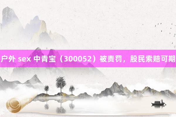 户外 sex 中青宝（300052）被责罚，股民索赔可期