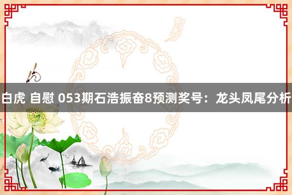 白虎 自慰 053期石浩振奋8预测奖号：龙头凤尾分析