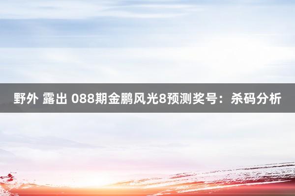 野外 露出 088期金鹏风光8预测奖号：杀码分析