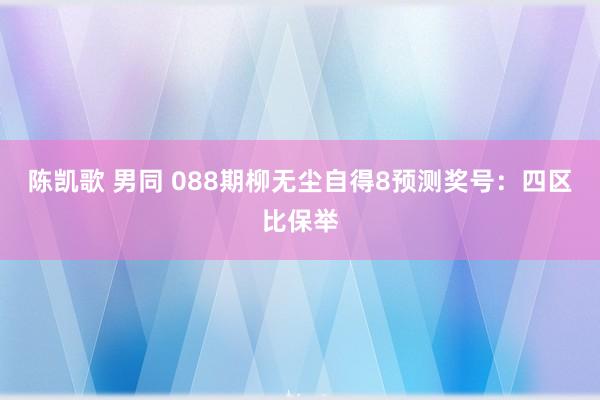 陈凯歌 男同 088期柳无尘自得8预测奖号：四区比保举